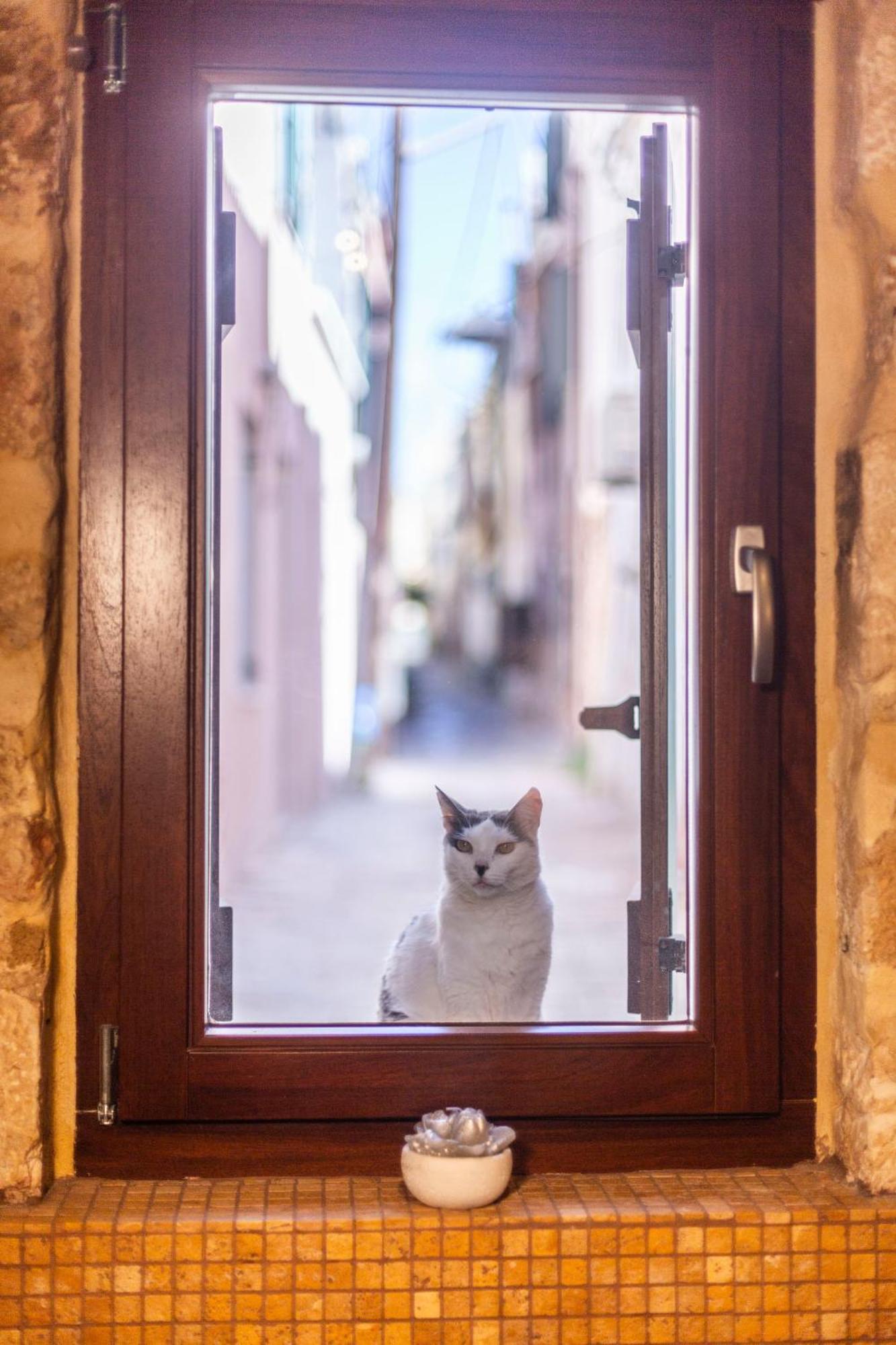 Athena'S House Apartment Chania  Bagian luar foto